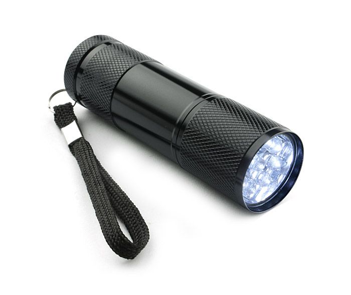 Flashlight RAY must