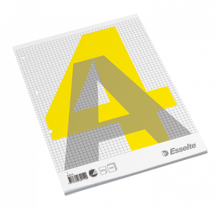 Kirjaplokk A4 100l. 5x5 ruut,  liimköide ülal, augustus Esselte