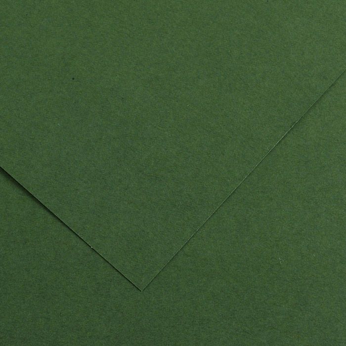 Kartong Vivaldi 50x65 /240g 31 metsaroheline