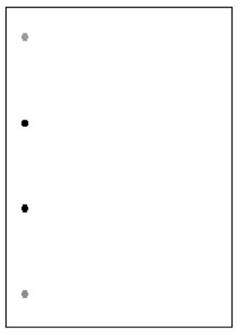 Paper A3L / 90g, perforation on the long side 25l.