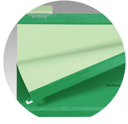 Suspension File Esselte Classic Reinforced