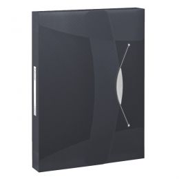 Box File Esselte Vivida PP A4 40 mm