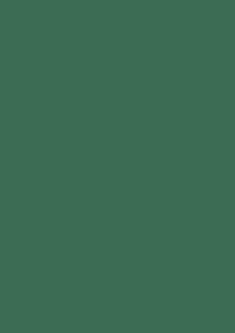 Coloured paper A4 130g dark green