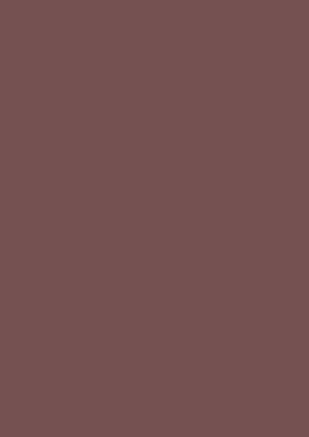 Coloured paper A4 130g Chocolate