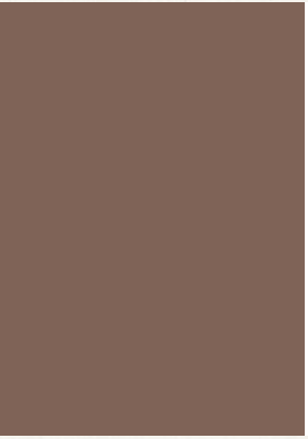 Coloured paper A4 130g medium brown