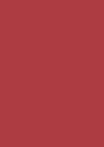Coloured card 50x70cm 300g tulip red