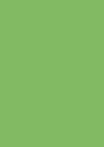 Coloured card 50x70cm 300g medium green