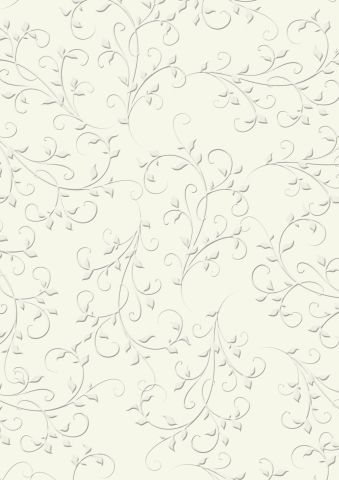 Embossewd Card 50x70cm Firenze champange