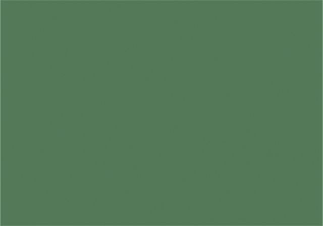 Ink pad Versa10x6cm, dark green