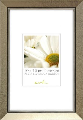 Pildiraam Elegant Champange 10x15, tugijalg