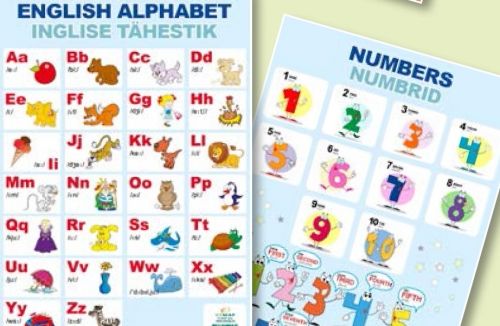 Study card English alphabet / numbers in English A4