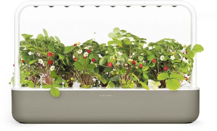 Click & Grow Smart Garden 9, bee