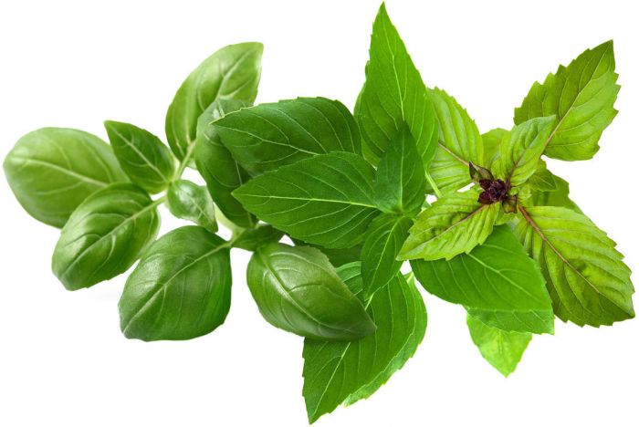 Click & Grow Plant Pod Basil Variety Mix 9tk
