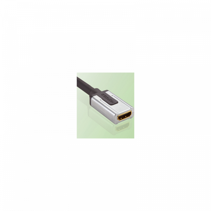 Profigold PROD1300 adapter HDMI pesa - DVI otsik 0,27m EOL