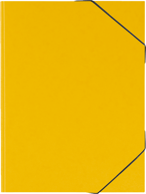 Folder Fact! plus A3 yellow carton