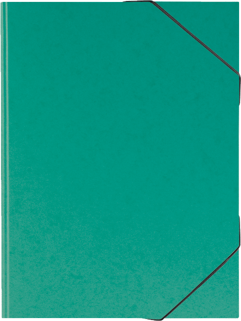 Folder Fact! plus A3 green carton