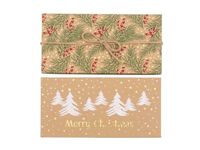 Gift box ARTEBENE 20x10x2,2cm branches with berries/white spruce assorted