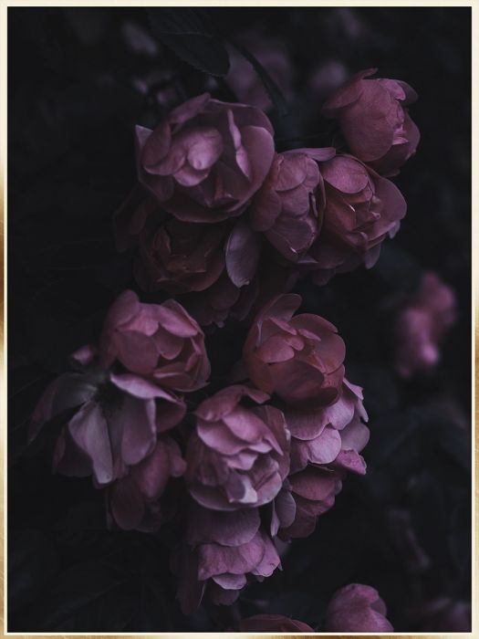 Wall picture ArtBox Dark 50x 70cm