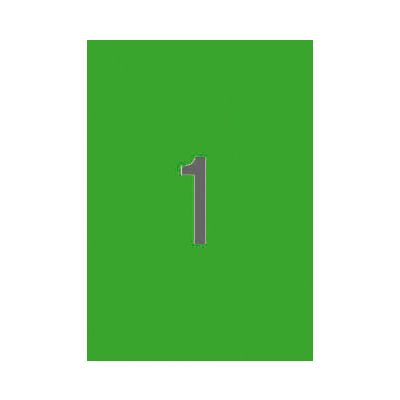 Green permanent labels 210.0 x 297.0 mm, A4, 20 sheets