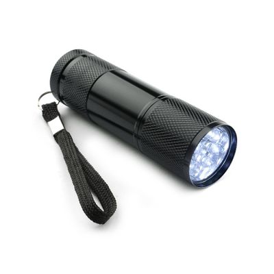 Flashlight RAY must