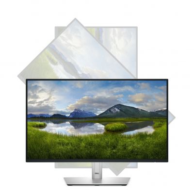 Dell 22 Monitor - P2225H, 54.6cm (21.5")