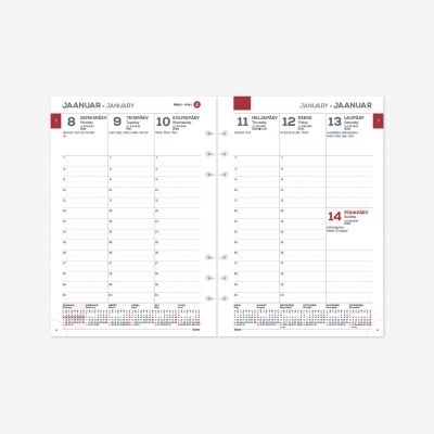 Calendar content MAXI week vertical
