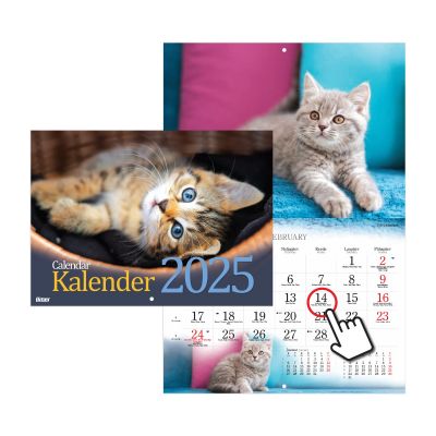 Seinakalender - Kassikalender 2025a.