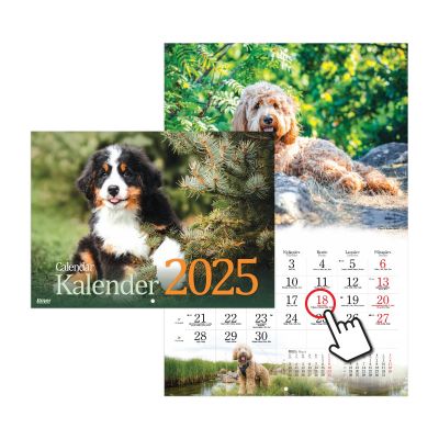 Seinakalender - Koerakalender 2025a.