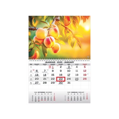 Wall calendar MONO picture no. 12