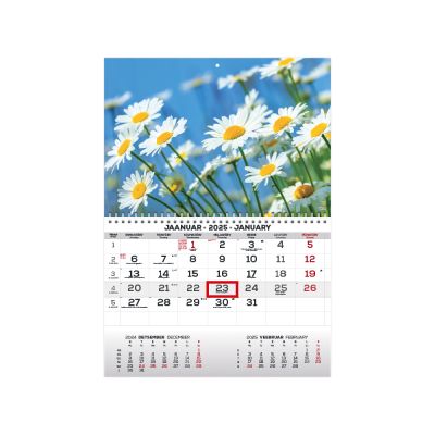 Wall calendar MONO picture no. 13