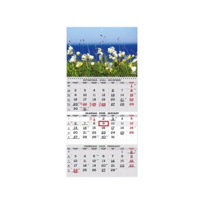 Wall calendar TRIO picture no. 1