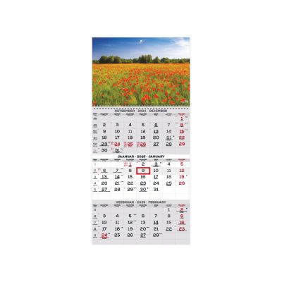 Wall calendar TRIO picture no. 2