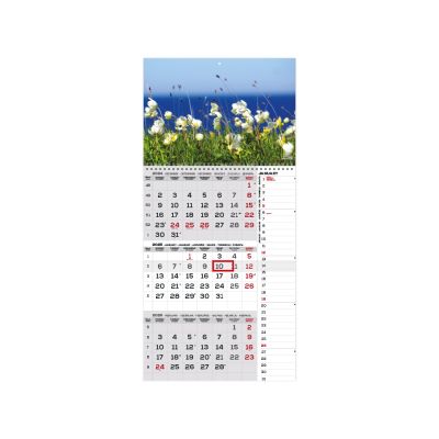 Wall calendar TRIO International picture no. 1