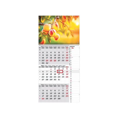 Wall calendar TRIO International picture no. 12