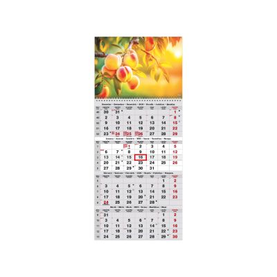 Seinakalender Quattro pilt nr. 12 2025a.