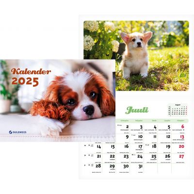 Seinakalender Kutsukalender 240x165mm, spiraalköide, riputusaas 2025a