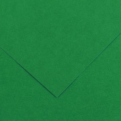 Kartong Vivaldi 50x65/240g 30 aasaroheline