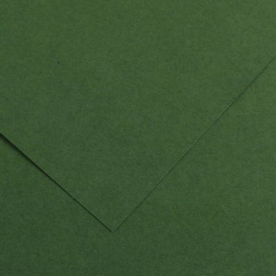 Kartong Vivaldi 50x65 /240g 31 metsaroheline