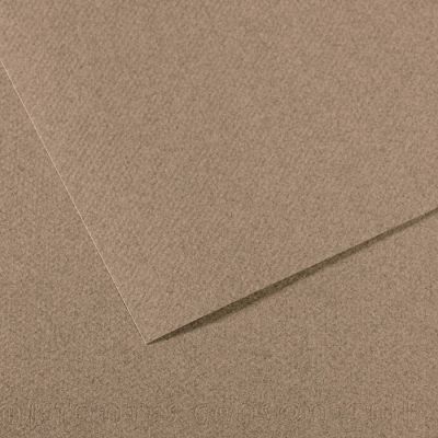 Pastel paper MiTeintes 50x65 / 160g 431 steel gray