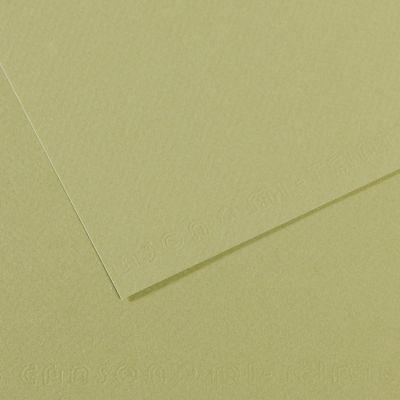 Pastel paper MiTeintes 50x65 / 160g 480 light green
