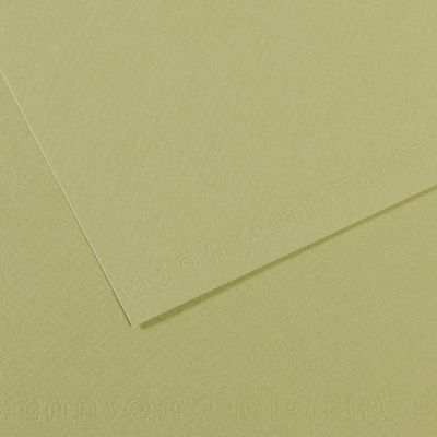 Pastellpaber MiTeintes 50x65/160g 480 heleroheline