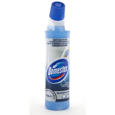 Puhastusvahend DOMESTOS Professional Toilet Limescale Removal 750ml