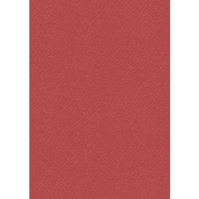 Coloured Cardstock A4 tulip red, 220g