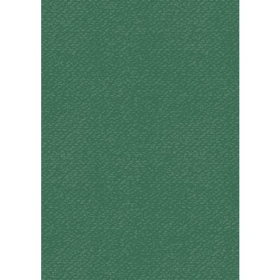 Coloured Cardstock A4 tulip dark green, 220g