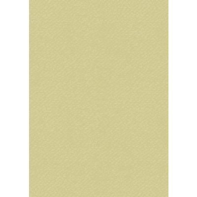 Coloured Cardstock A4 gold-coloured, reverse whit, 220g