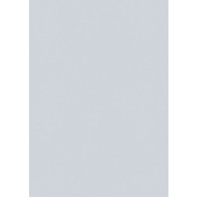 Coloured Cardstock A4 silver-coloured, reverse white, 220g
