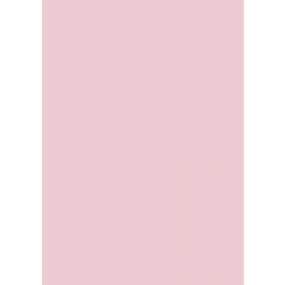 Coloured paper A4 130g light rose