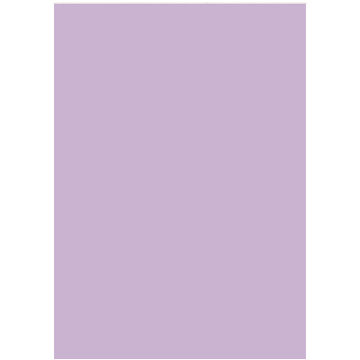 Coloured paper A4 130g light violet