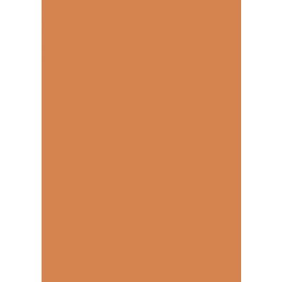 Coloured card A4 300g orange