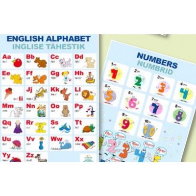 Study card English alphabet / numbers in English A4